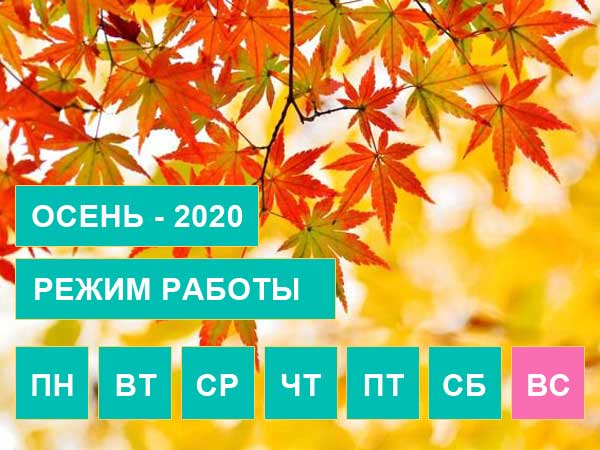 Расписание работы Госпиталя Исманкулова на осень 2020 года
